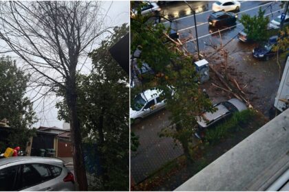 foto bucuresteni furiosi in ziua in care 80 de copaci au cazut peste tot prin oras fac sesizari de jumatate de an nu se intampla nimic asteptati sa cada peste oameni 68dfc1d95f435