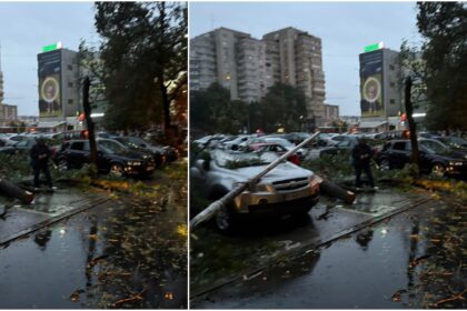 foto macel auto in parcarea magazinului sir de la lujerului masini zdrobite de stalpi si copaci cazuti 68df6c8698512