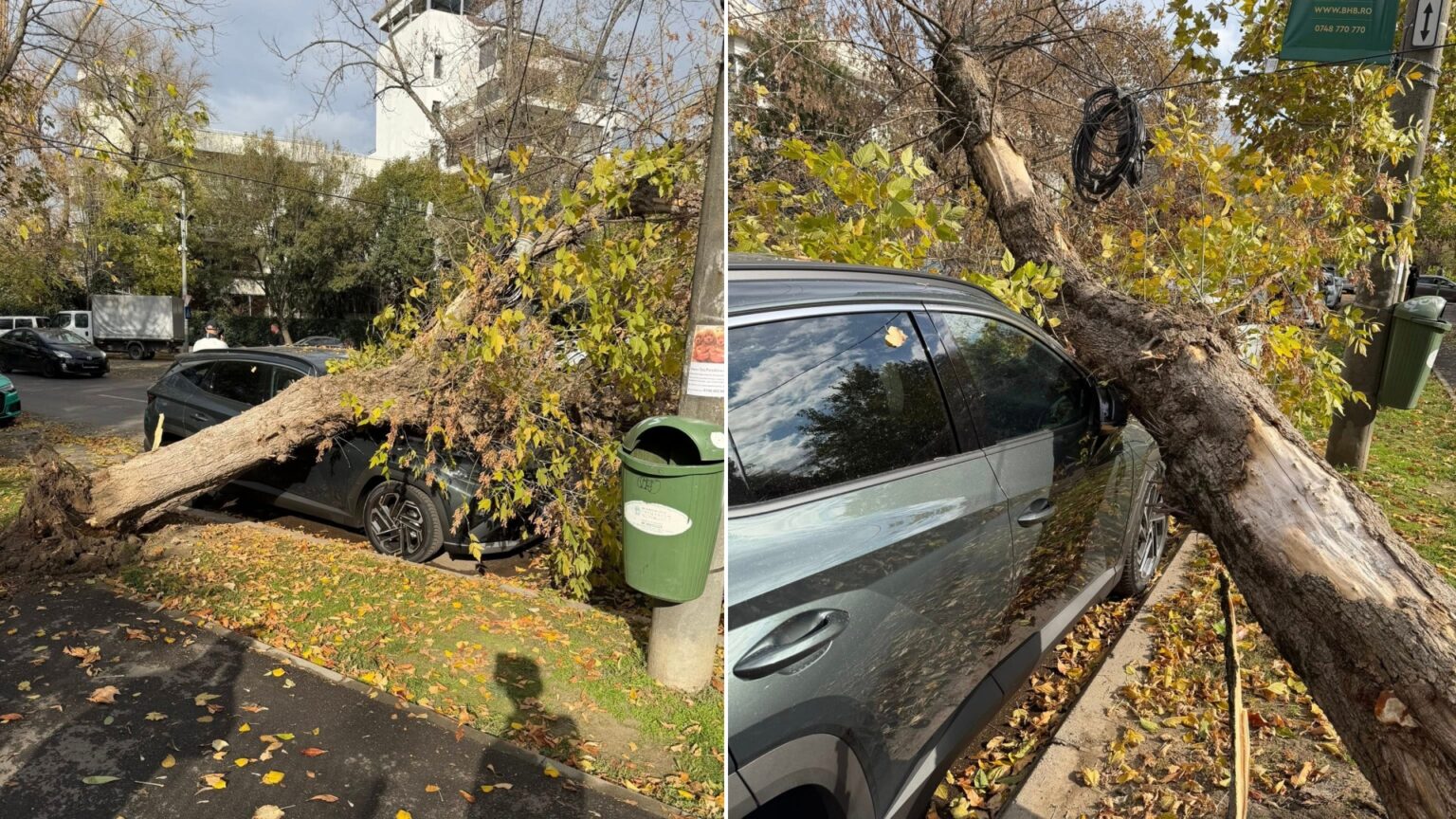 foto masina avariata de un copac imens pe soseaua nordului din bucuresti anm a emis o avertizare de cod galben de vant pentru capitala 68fb777361df6