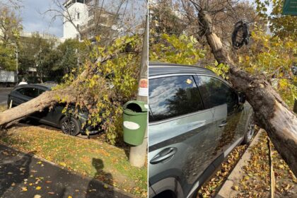 foto masina avariata de un copac imens pe soseaua nordului din bucuresti anm a emis o avertizare de cod galben de vant pentru capitala 68fb777361df6