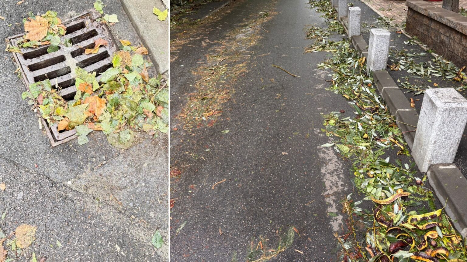 foto mazga verde maronie pe care patinezi prin bucuresti dupa primul episod de vreme extrema strazi si trotuare inca alunecoase si vin iar ploile si vijelia 68e3a76125e97