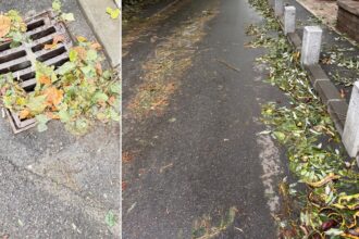 foto mazga verde maronie pe care patinezi prin bucuresti dupa primul episod de vreme extrema strazi si trotuare inca alunecoase si vin iar ploile si vijelia 68e3a76125e97