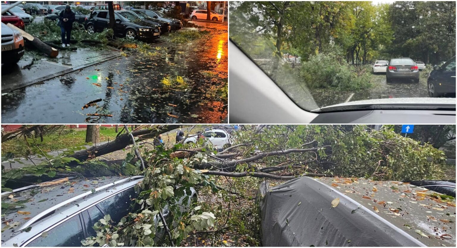 foto vijelia a doborat capitala zeci de masini avariate trafic restrictionat si linii stb blocate din cauza copacilor prabusiti 68dfb3e0ade8e 1