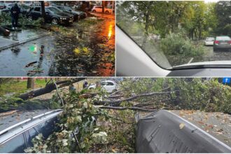 foto vijelia a doborat capitala zeci de masini avariate trafic restrictionat si linii stb blocate din cauza copacilor prabusiti 68dfb3e0ade8e 1