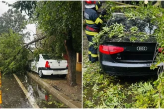 furtuna a facut ravagii in bucuresti peste 200 de copaci au fost doborati de vantul puternic iar 163 masini au fost avariate 68e0be61643fd