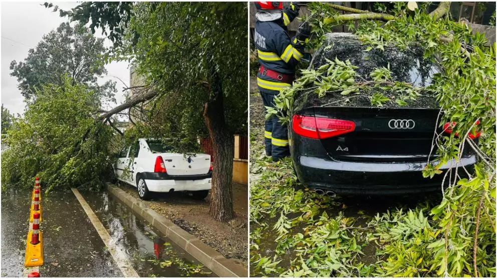 furtuna a facut ravagii in bucuresti peste 200 de copaci au fost doborati de vantul puternic iar 163 masini au fost avariate 68e0be61643fd