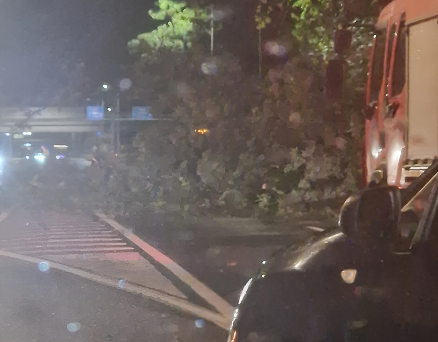 inca un copac cazut peste o masina in mers pe o strada din bucuresti un altul prabusit pe dn1 pana in intrarea pe a0 autostrada bucurestiului bilant de vreme extrema 68e5eff7a7d63