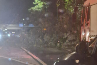 inca un copac cazut peste o masina in mers pe o strada din bucuresti un altul prabusit pe dn1 pana in intrarea pe a0 autostrada bucurestiului bilant de vreme extrema 68e5eff7a7d63