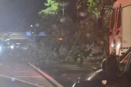 inca un copac cazut peste o masina in mers pe o strada din bucuresti un altul prabusit pe dn1 pana in intrarea pe a0 autostrada bucurestiului bilant de vreme extrema 68e5eff7a7d63