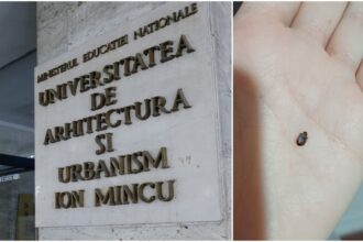 invazie de plosnite la universitatea de arhitectura ion mincu din bucuresti studentii nu vor sa mai vina la cursuri si acuza conducerea de nepasare 68f0d75e39fe6