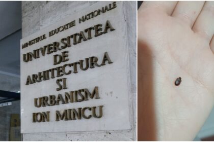 invazie de plosnite la universitatea de arhitectura ion mincu din bucuresti studentii nu vor sa mai vina la cursuri si acuza conducerea de nepasare 68f0d75e39fe6