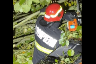 isu bucuresti ilfov 77 de interventii ale pompierilor in urma copacilor cazuti si a acumularilor de apa 68e63a47f1c2d 1