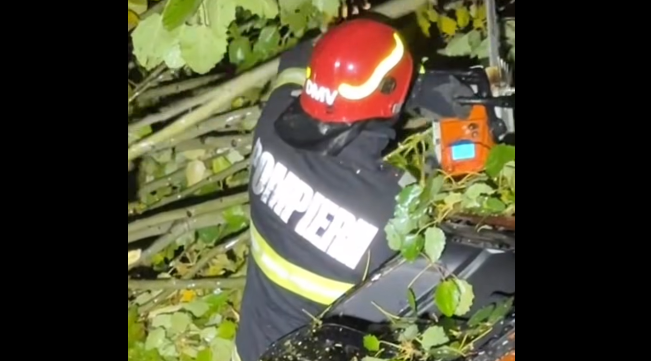 isu bucuresti ilfov 77 de interventii ale pompierilor in urma copacilor cazuti si a acumularilor de apa 68e63a47f1c2d 1