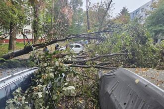 isubif 86 de interventii vineri dimineata in capitala si ilfov 68df857ca4833