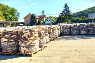 lemne pentru iarna romsilva scoate la vanzare 2 milioane de metri cubi de lemn de la 150 lei metru cub 68dcffcac1881