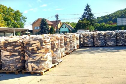 lemne pentru iarna romsilva scoate la vanzare 2 milioane de metri cubi de lemn de la 150 lei metru cub 68dcffcac1881