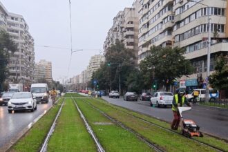 lucrari de intretinere in parcurile si zonele verzi din sectorul 2 68e35f0cf18c4 1