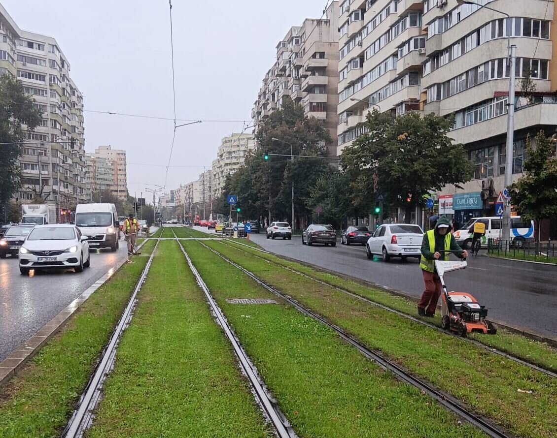 lucrari de intretinere in parcurile si zonele verzi din sectorul 2 68e35f0cf18c4 1