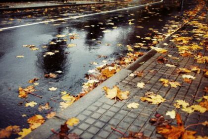 meteo bucuresti maxima de 21 de grade cer variabil ploi temporare si vant pe parcursul zilei de vineri 68fb350592d76