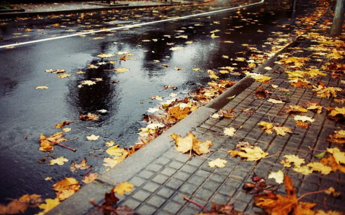 meteo bucuresti maxima de 21 de grade cer variabil ploi temporare si vant pe parcursul zilei de vineri 68fb350592d76