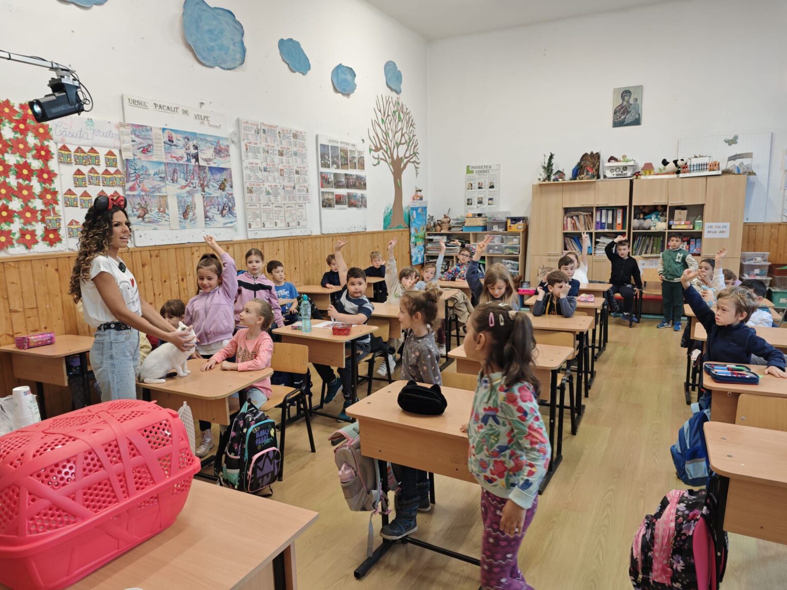 ora cu si pentru animale ar putea ajunge si in gradinite cj ilfov propune extinderea optionalului 68e7b3a4b92db