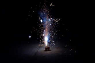 orasul care nu va avea artificii in noaptea de revelion din grija pentru prietenii necuvantatori 68ff68cc6ab75