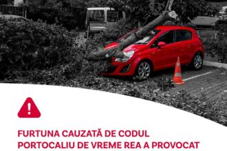 pagube majore in sectorul 2 copaci prabusiti acoperis desprins si masini avariate primaria ofera despagubiri 68dfb6b759785 1