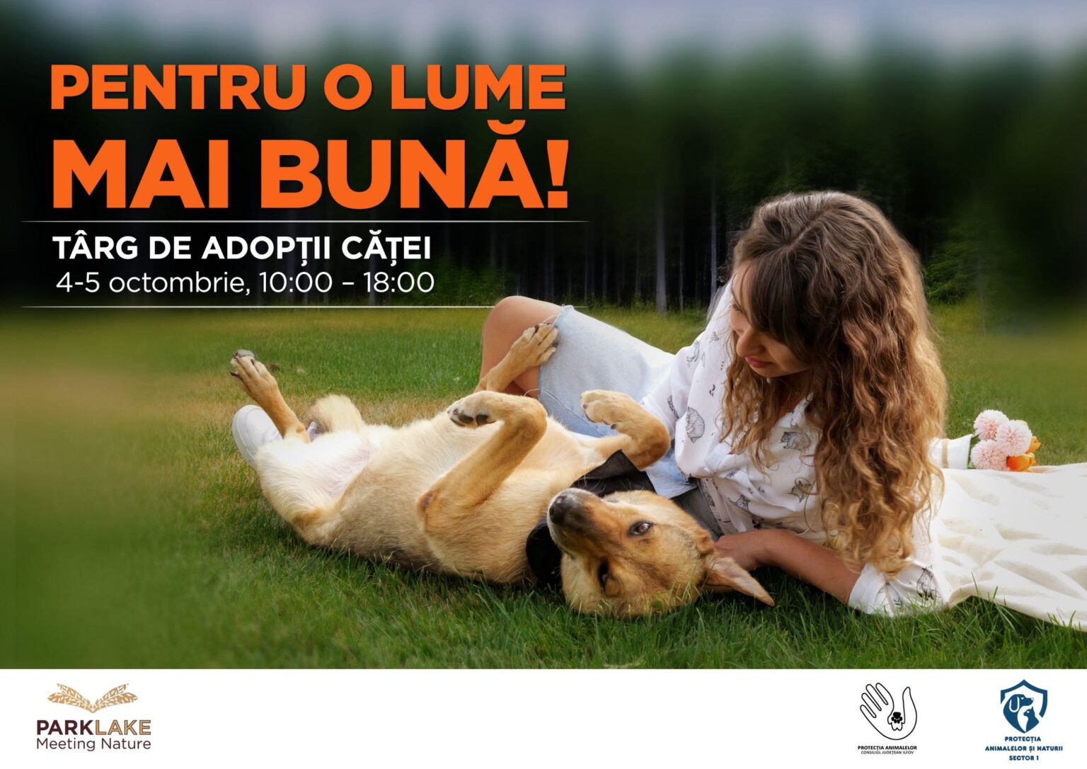 pentru o lume mai buna targ de adoptii in park lake de ziua mondiala a animalelor 68dec09e9448e