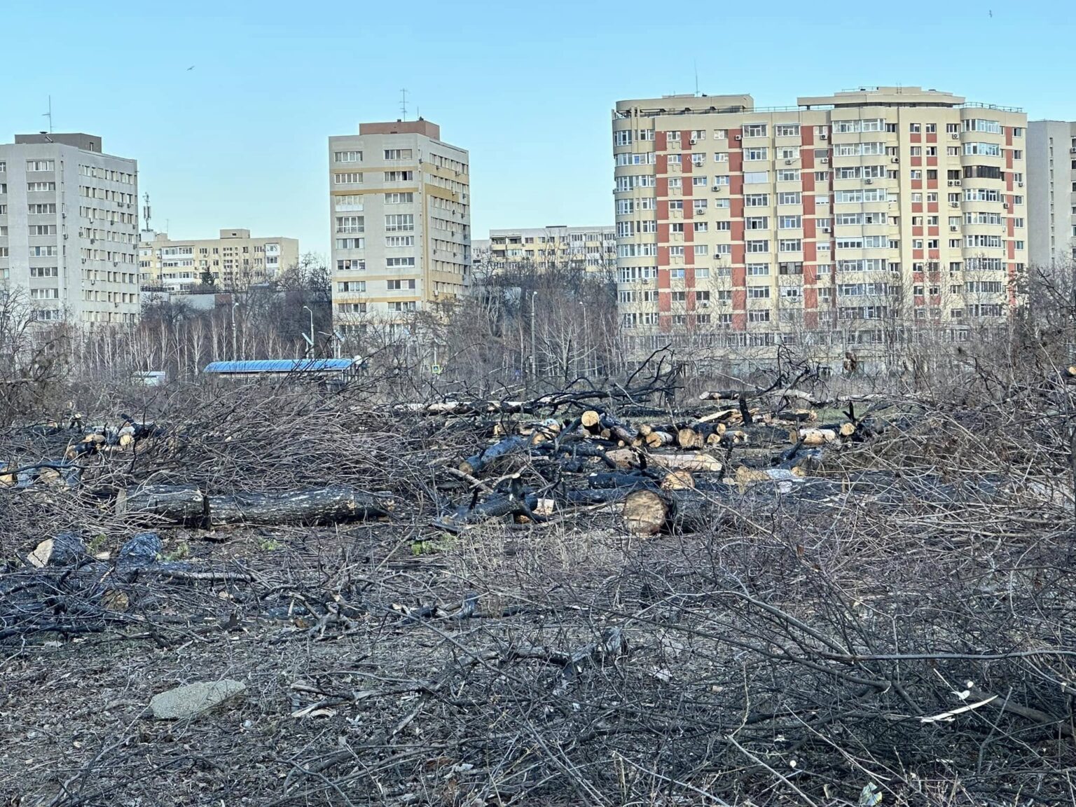 peste 50 de organizatii cer cgmb sanctiuni dure pentru defrisarile ilegale protest anuntat la primarie 68f0ef501b645