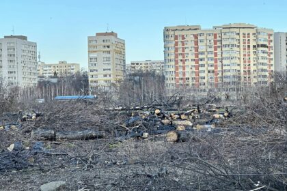 peste 50 de organizatii cer cgmb sanctiuni dure pentru defrisarile ilegale protest anuntat la primarie 68f0ef501b645