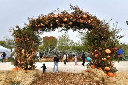 peste 60 000 de oameni s au distrat in acest weekend la west side hallo fest ce a insemnat in cifre cel mai mare festival de halloween din romania 68ff8abae1db8