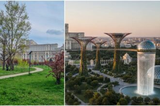 pmb despre parcul izvor cu turnuri gigantice ca la singapore nu e proiect e studiu de caz proiectul declarat eligibil in sesiunea de finantare nerambursabila 2025 68dfa5c687e13