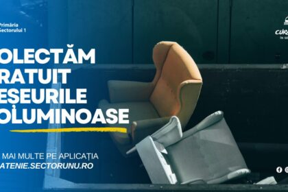primaria sectorului 1 anunta ghidul curateniei de toamna in sectorul 1 68dccb0aa173c 1