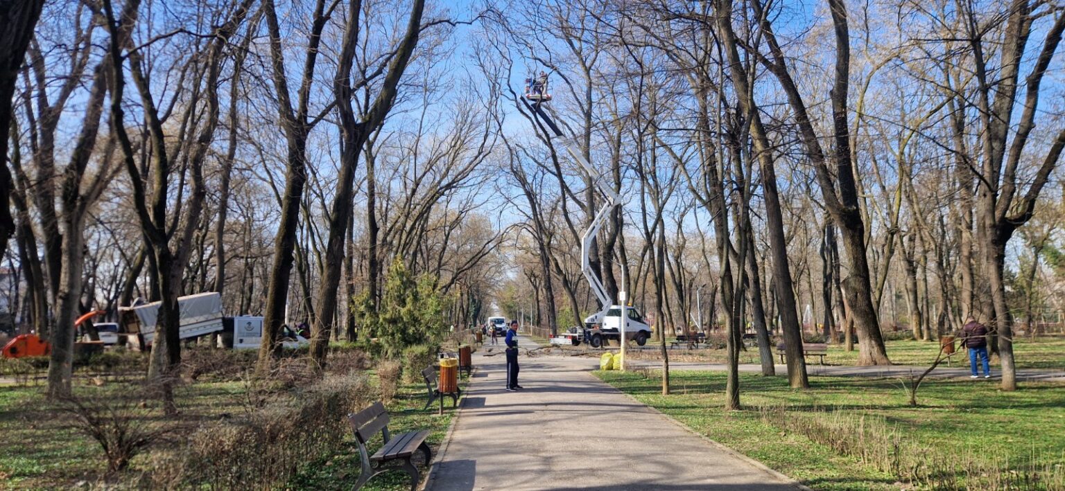 proiect cresc amenzile pentru deteriorarea spatiilor verzi si a arborilor din bucuresti 6900fe420080d