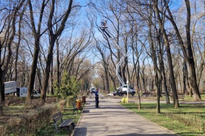 proiect cresc amenzile pentru deteriorarea spatiilor verzi si a arborilor din bucuresti 6900fe420080d