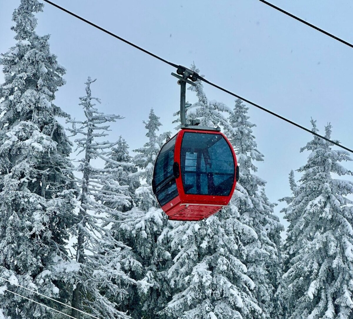 scumpiri la urcari si coborari in sezonul de schi 2025 2026 la poiana brasov care sunt noile tarife 6904e833f032e
