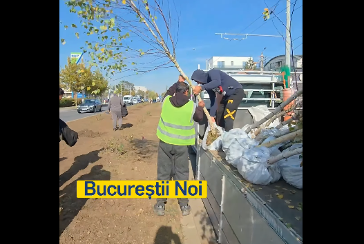 sectorul 1 devine tot mai verde peste 420 000 mp de spatii verzi reamenajate si noi in ultimul an 68ff7223695d5