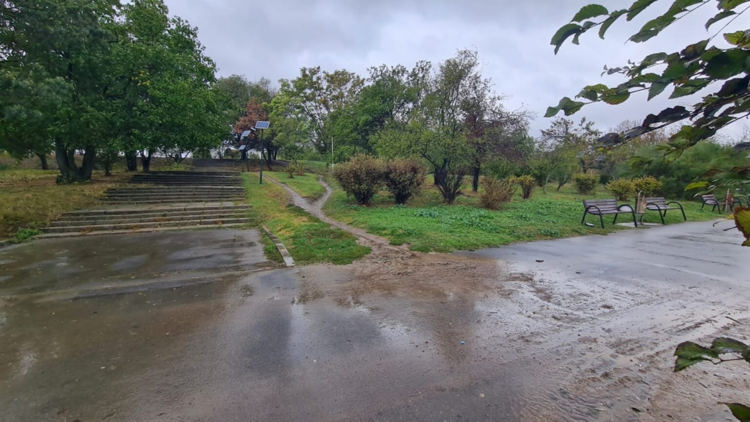 solutii pentru reducerea si refolosirea apei de ploaie in capitala asociatia parcul natural bucuresti propune doua proiecte pilot in delta vacaresti si parcul tineretului 68e8f7ac807b0