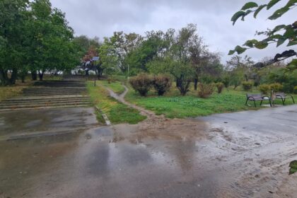 solutii pentru reducerea si refolosirea apei de ploaie in capitala asociatia parcul natural bucuresti propune doua proiecte pilot in delta vacaresti si parcul tineretului 68e8f7ac807b0