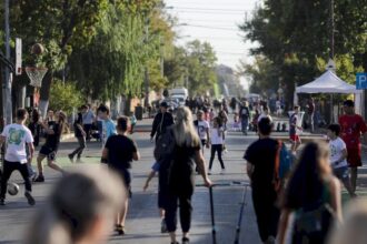 strazi deschise 2025 se apropie de final penultimul weekend al proiectului aduce pe strada delfinului si calea victoriei activitati sportive si culturale 68de7a32536d0 1