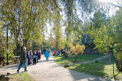 targ de sfantul dumitru la muzeul satului de vineri pana duminica 68fb2badb50f2