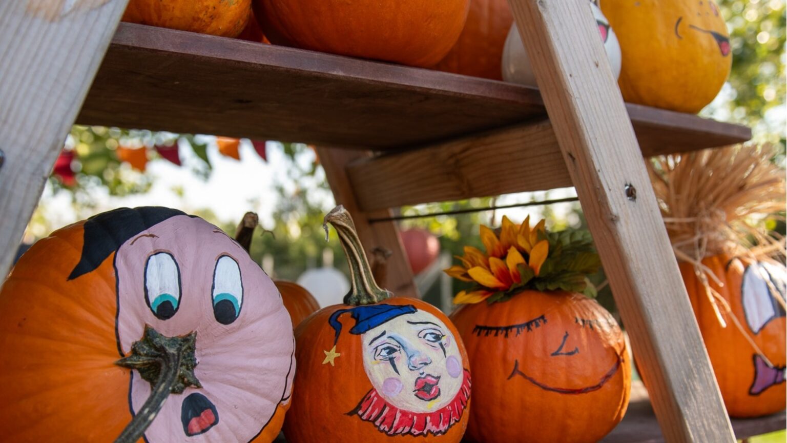 targul dovleacului la antipa in weekend f09f8e83 pumpkin fair e cu sculptat dovleci cu placinte cu dovleac si cu multe alte bunatati 68e62b137ffb7