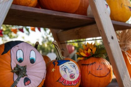 targul dovleacului la antipa in weekend f09f8e83 pumpkin fair e cu sculptat dovleci cu placinte cu dovleac si cu multe alte bunatati 68e62b137ffb7