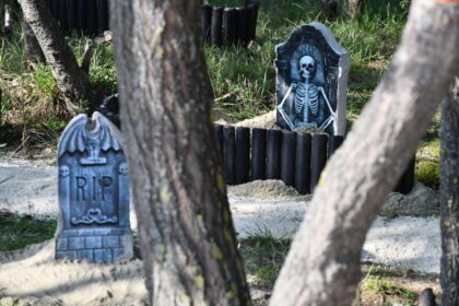 totul despre accesul la west side hallo fest cu ce ajungi pe unde se intra ce strazi sunt inchise 68f9d0bd77879