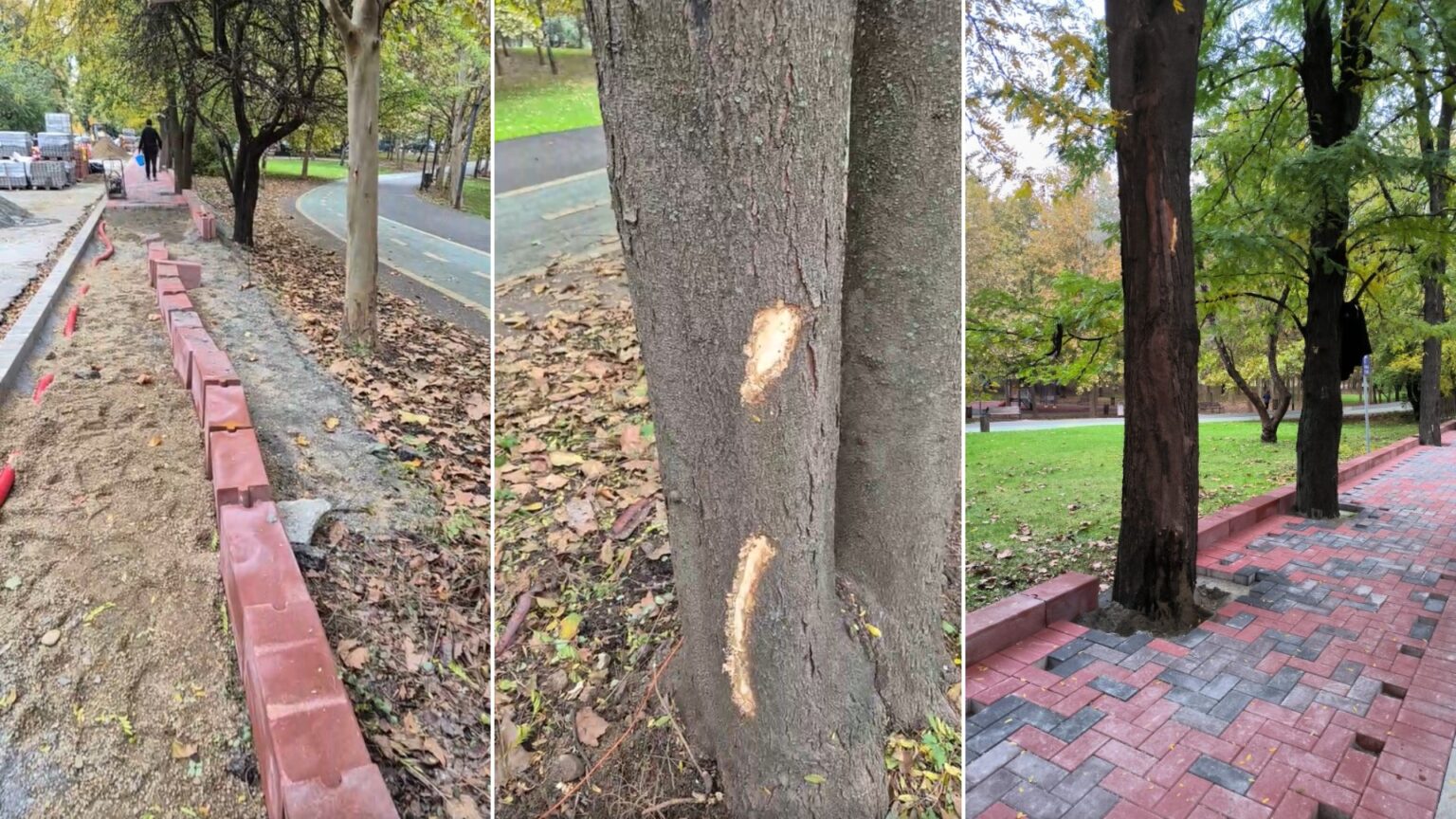 trotuarul ilegal de langa parcul ior o noua explozie de pavele negoita trebuie sa dispara garda de mediu a amendat cu 50 000 de lei firma ps3 care l a construit 68f9fa6d1fb0c 1