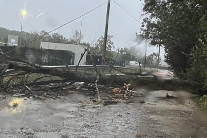 un copac prabusit de a latul drumului blocheaza complet strada frasinului langa fabrica philip morris nu se poate iesi in centura capitalei 68e5ff6528c04