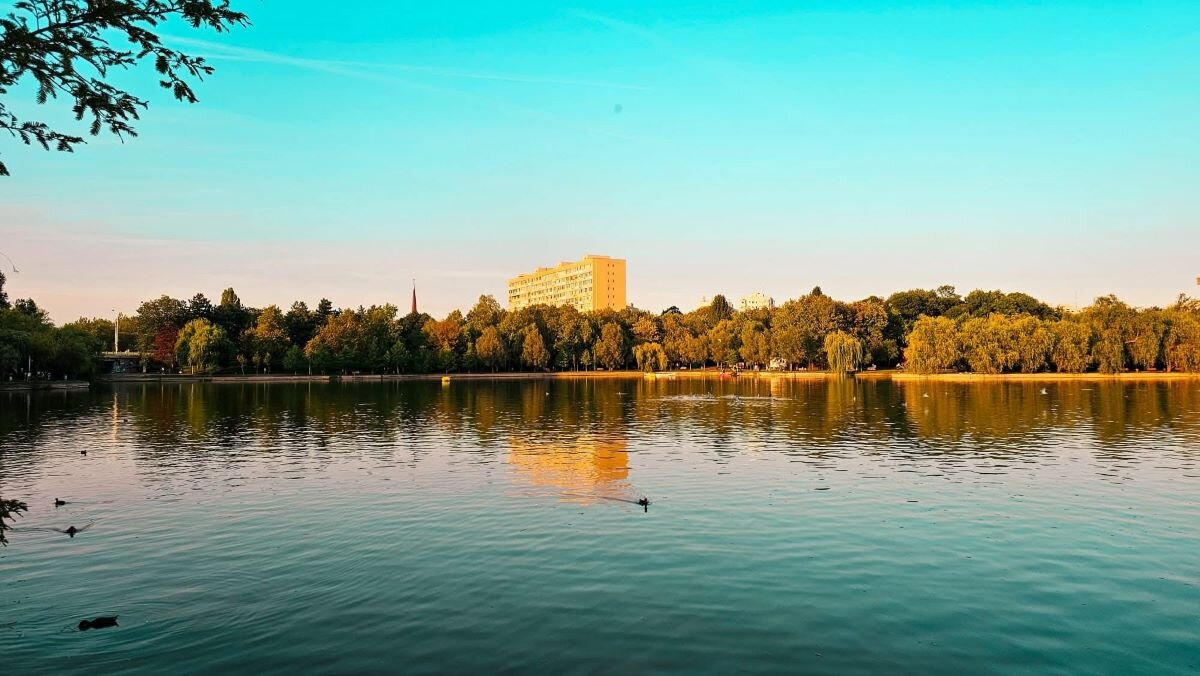 usr sector 3 cere transparenta si consultare publica pentru reamenajarea parcului ior 6901d25a6c915