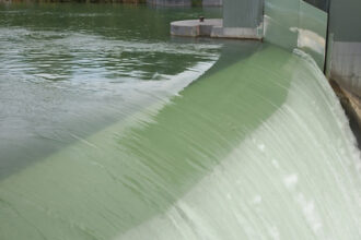 video bogdan ivan avem blocaje la proiectele de hidrocentrale din cauza gandacilor si pestilor sunt aberatii voi merge in csat 68de2e149e990