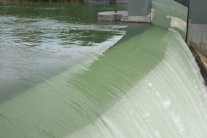 video bogdan ivan avem blocaje la proiectele de hidrocentrale din cauza gandacilor si pestilor sunt aberatii voi merge in csat 68de2e149e990