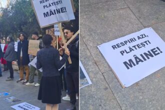 video cresc amenzile pentru taierile ilegale ale copacilor din bucuresti proiectul fiind votat in cgmb ong urile au militat pentru salvarea arborilor inainte de sedinta 69038ba24de45